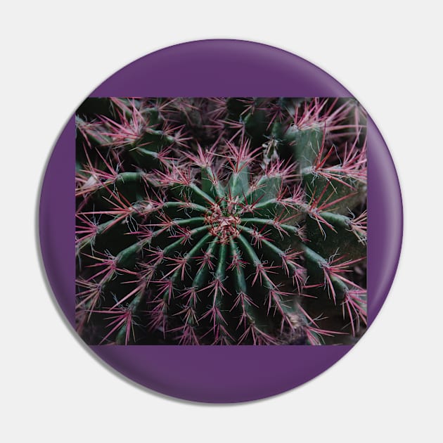 cactus Pin by daghlashassan