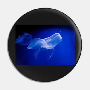 Translucent jellyfish in deep blue water Pin