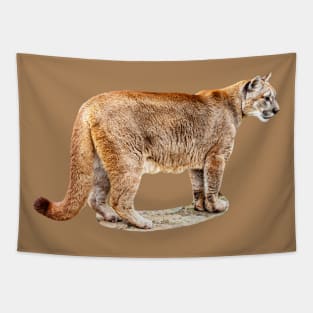 Cougar side view Tapestry