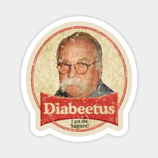 Retro Vintage Diabeetus Magnet