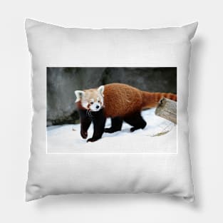 Red Panda Pillow