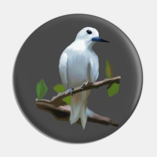 White Tern or Manu O Kū Pin