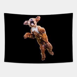 Mad Cockapoo Tapestry