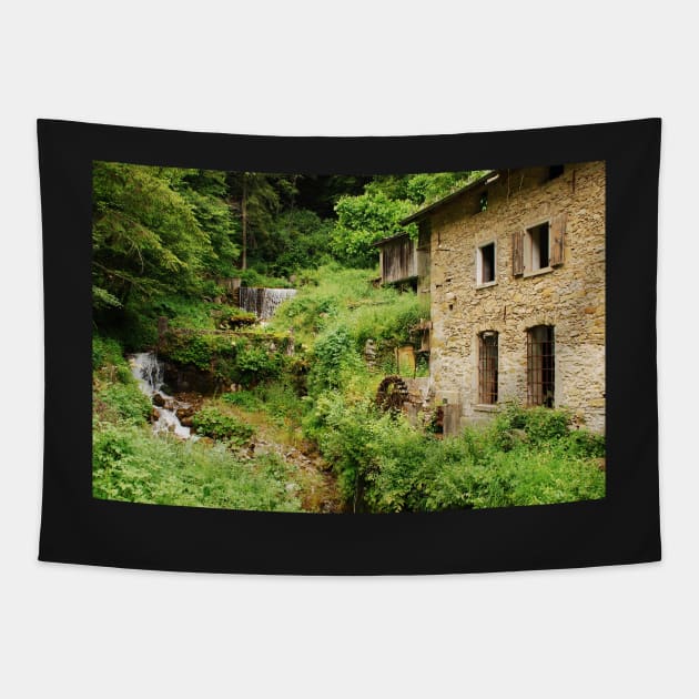 Abandoned Mill Near Salino Tapestry by jojobob