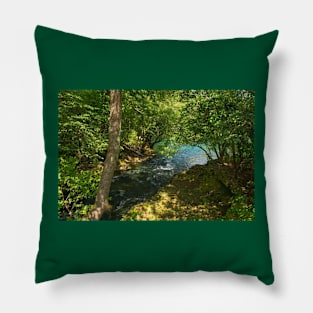 Japod Islands Near Bihac, Bosnia Pillow