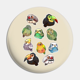 Birds! Pin