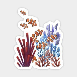 Clown Fish Magnet