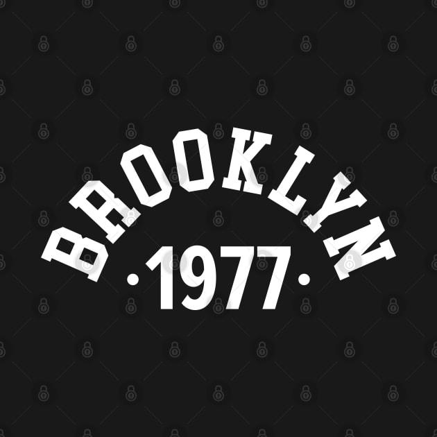 Brooklyn Chronicles: Celebrating Your Birth Year 1977 by Boogosh