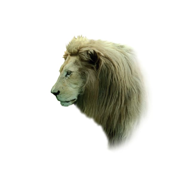 White lion by Guardi