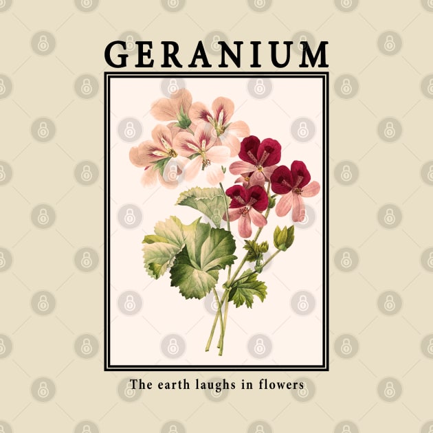 Geranium - Vintage Postcard by j.adevelyn