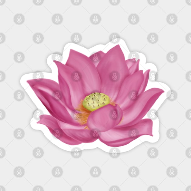 Pink Lotus Blossom Digital Art Magnet by H. R. Sinclair