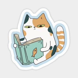 Cute Calico cat reading a book Magnet