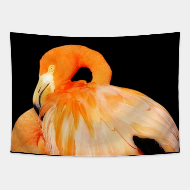 Profile of a Flamingo Sunlit by the Afternoon Summer Sun Tapestry by walkswithnature