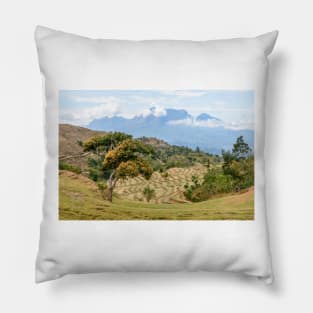 Timor Paddy Fields Pillow