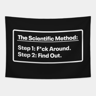 The Scientific Method - Mess up - Find out Tapestry