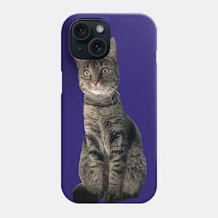 Kitty Phone Case