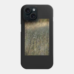 Summer Grass - Adelaide Hills - Fleurieu Peninsula - South Australia Phone Case