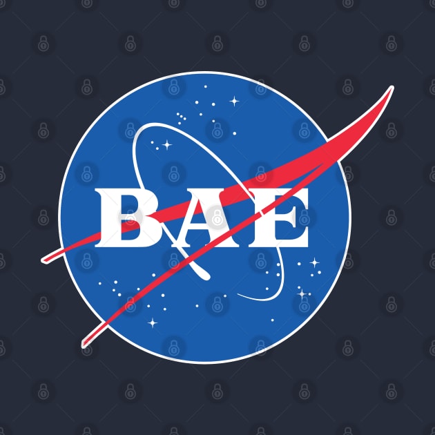 BAE - Nasa Parody Logo Design by DankFutura