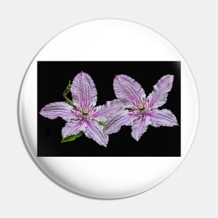 Pink and White Clematis Pin