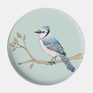 Blue jay Pin