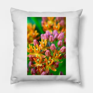 Beautiful Butterfly Flower Pillow