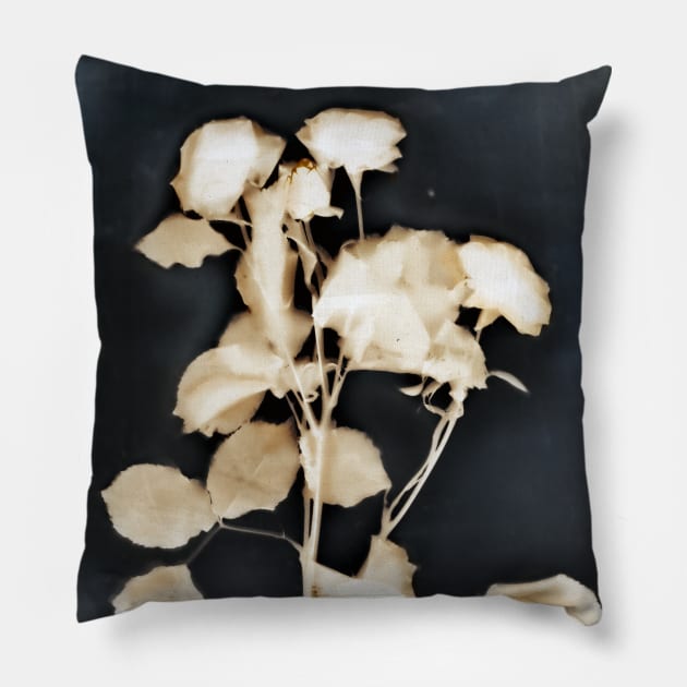 Old Roses Pillow by kristamccurdyart