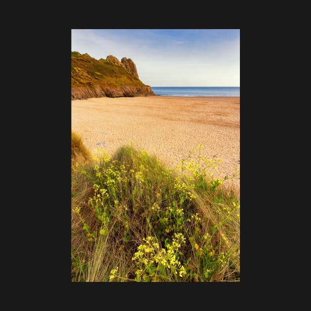 Tor Bay and Great Tor, Gower by dasantillo