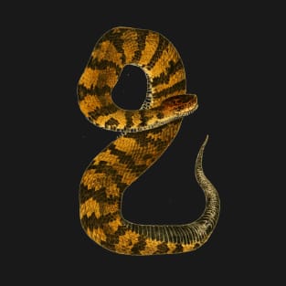 serpent,cobra,reptile,viper,venom,lizard,rattlesnake,king cobra,dragon,hydra,poison,venomous,plumber's snake,pythonidae,pythons,auger,python,squamata,serpentine,worm,big,ophidian,rattlesnakes,medusa,snakebite T-Shirt