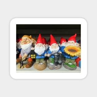 Garden Gnomes Magnet