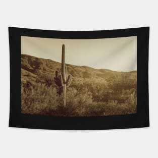 Sonoran Desert in monochrome Tapestry