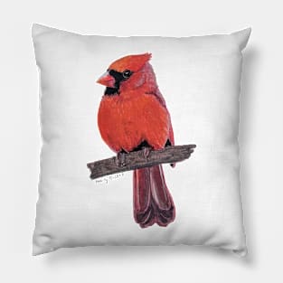 Fluffy Northern Cardinal on a branch painting Pillow