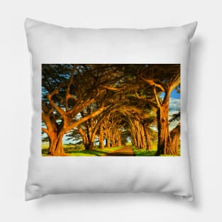 Cypress Tunnel Sunset Glow Pillow