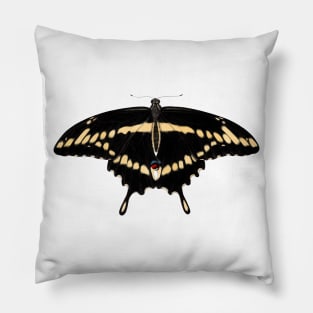 Eastern Giant Swallowtail Pillow