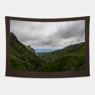 Scenic Malibu vista in springtime Tapestry