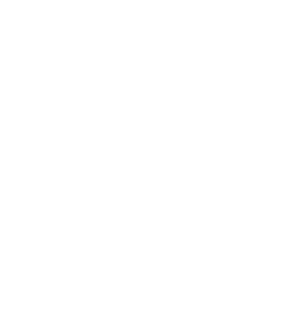 Malinois Dog Training Malinois Dog Tricks Magnet