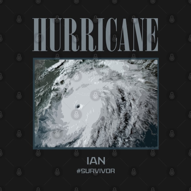 hurricane ian survivor by christinehearst