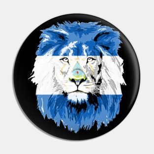 nicaragua Pin