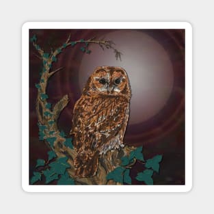 Tawny Owl Mistress of the Night Magnet