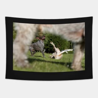 Oops-A-Daisy Spinone Tapestry