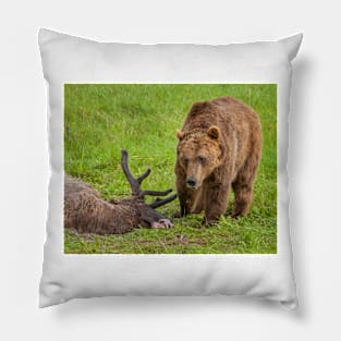 Grizzly Inspecting Elk Pillow