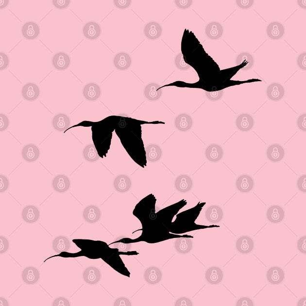 Silhouette of Glossy Ibises In Flight by taiche