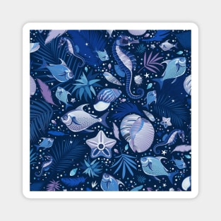 Magical Sea Magnet