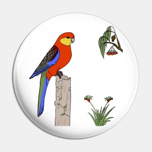 Western Rosella Pin