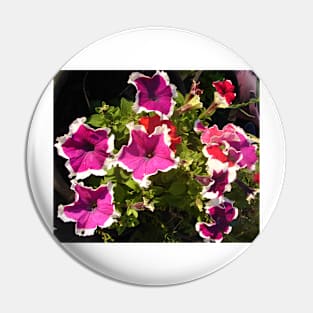 Colorful Petunia Flower Pattern Pin