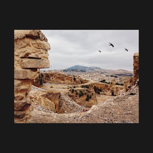 Three Birds Over Landfill in Morocco T-Shirt