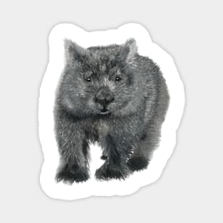 Wombat Sketch Magnet