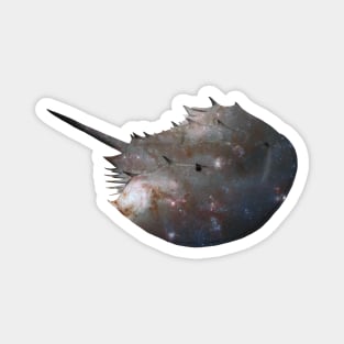 Galaxy Horseshoe Crab Magnet