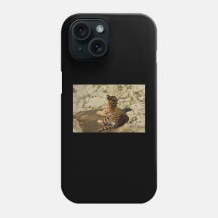 Tiger Cub Phone Case