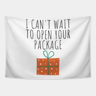 Christmas Humor. Rude, Offensive, Inappropriate Christmas Design. I Can't Wait To Open Your Package Tapestry