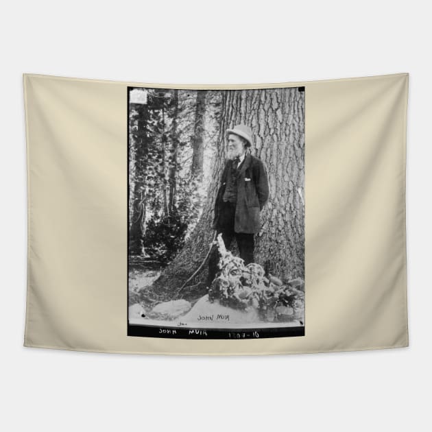 John Muir Photo Plate Tapestry by Scottish Arms Dealer